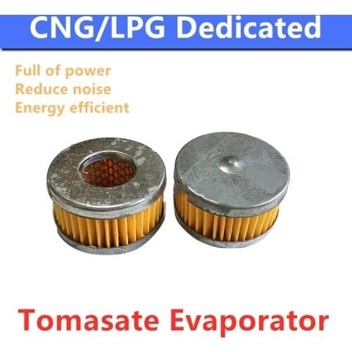 5pcs/Lot LPG CNG Car Autogas Filter For TOMASETTO Gearbox Reducer Multi-Point Sequential Injection System