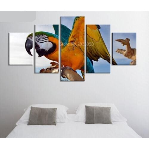 Colorful Parrot Bird Paintings For Living Room Wall Animal Painting 5 Panels Decorative Pictures Framed Canvas Art