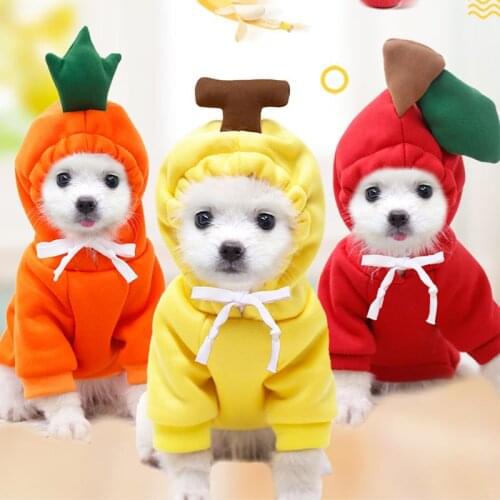 Cute Pet Dog Clothes For Dogs Hoodies Funny Fruit Dog Coat Puppy Pet Clothing For Dogs Costume Chihuahua Yorkshire Ropa Perro