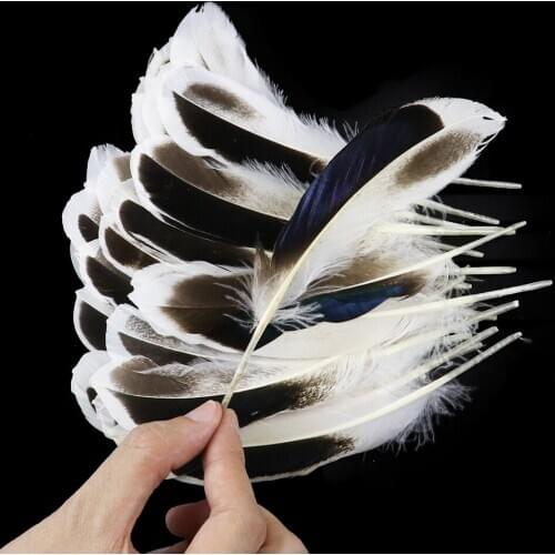 50pcs/pack Natural Duck Goose Feathers Beautiful Swan Plumes for Jewelry Decoration 4-6inch/10-15cm Wedding Home Party Accessory