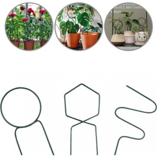 Fine Workmanship Lightweight Durable Protective Climbing Plant Trellis Garden Tool for Shop