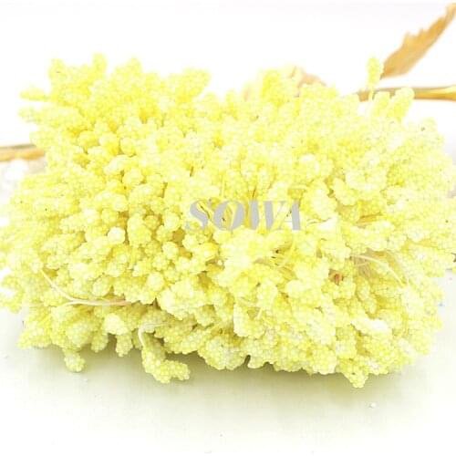 Free Shipping New Arrival 800pcs/Lot 5mm Light Yellow Foam Flower Stamen Pistil Cake Decoration Craft DIY Hot Sales