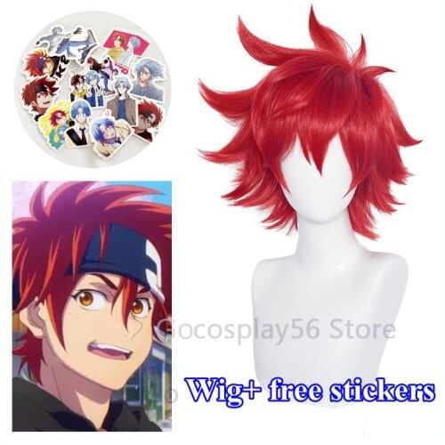 Anime SK∞ Reki Cosplay Wig Red Short Straight Heat Resistant Hair Adult Halloween Role Play SK8 the Infinity SK Eight
