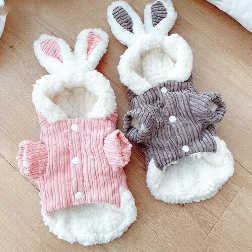 Bunny Hoodie Pet Costume,Cat Clothes Simple Cute Transformed Dress Kitten Puppy Biped Thick Winter Clothing