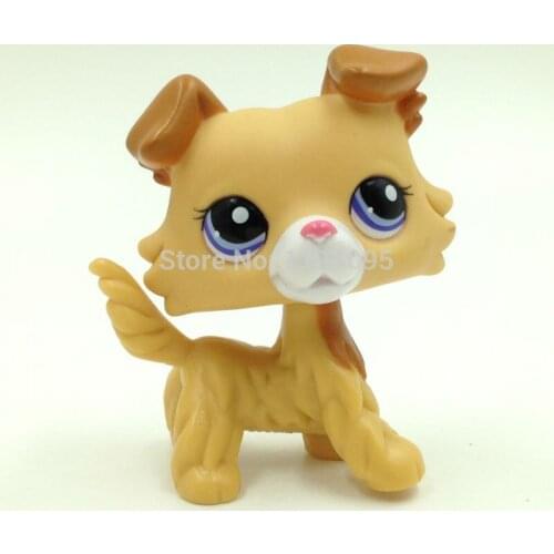 Lps cat pet shop toys Dog #2452 Yellow Puppy Child Gril Collie lovely Birthday Gifts Without Magnet