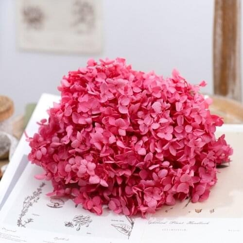 Dried flower Peach red 20G DIY material Grade A Anna Folium Hydrangea polychrome wedding decoration table
