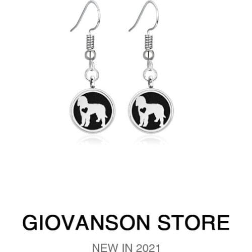 Women Gift Earringss Stainless Steel Jewelry Making Locket Pendants Dangle Perfume Aromatherapy Essential Oil Diffuser Drop 12mm