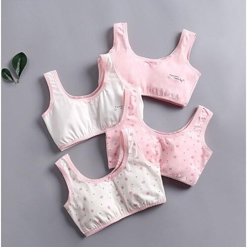 New girl 's Underwear Cotton Strawberry Pattern Stanik Girl Underwear Vest Underwear of Puberty Students Chest Bra