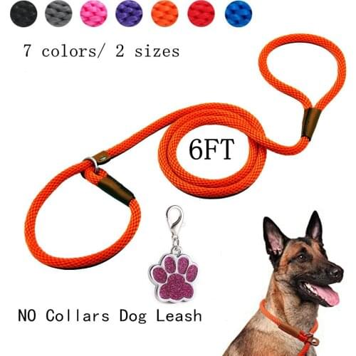 Dog Supplies Nylon Pet Rope Leash Outdoor Training Dog Leashes Solid Rope P Style Adjustable Collar Belt For Small Large Dogs
