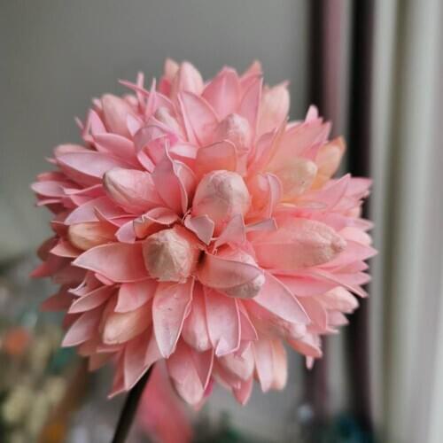 1PCS,Artificial Hydrangeas Branch Dried Flowers ,Graft Floral Display Flower For Ramadan Decoration Home Party Decor, Gift Favor