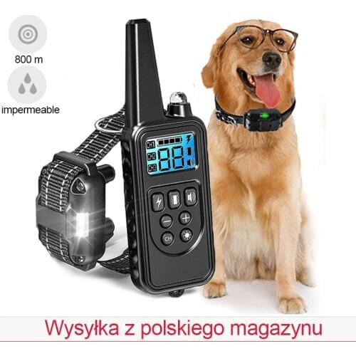 Electronic dog training collar waterproof 800m training dog snack bag pet accessories Reusable Chargable dog collar