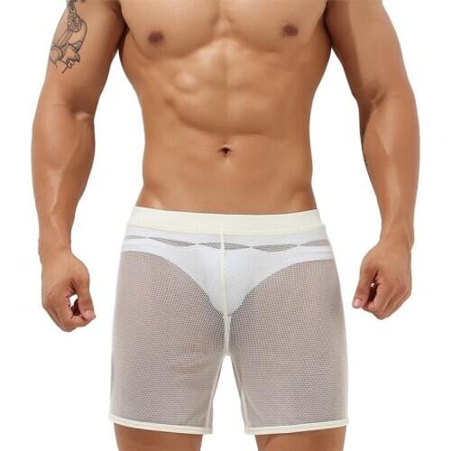 Sexy Men Underwear Mesh Transparent Long Boxer Shorts Calzoncillos Casual Sports Breathable Trunks Slip Hombre Panties Plus Size