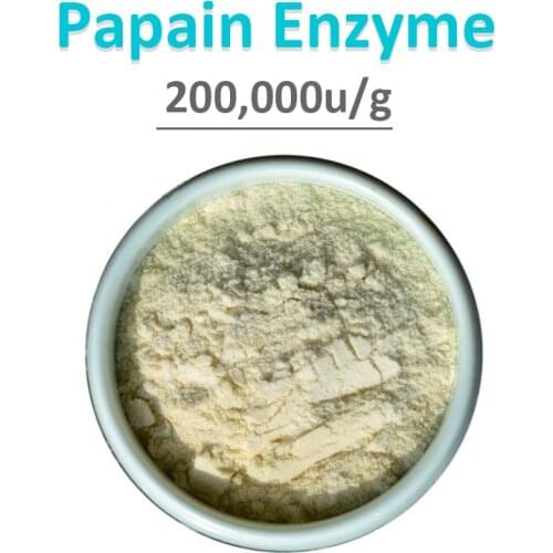 Natural Powder Extract of Papaya Fruit Papain Enzyme 200,000u/g Protein Digestive Enzyme