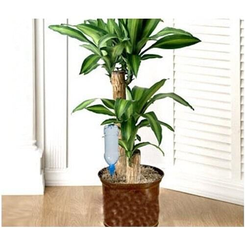 Modern Practical Flower Sulayıcı 4Adet Multiple design product