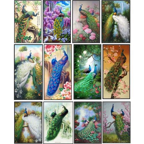 Embroidery Counted Cross Stitch Kits Needlework - Crafts 14 ct DMC Color DIY Arts Handmade Decor - Peacock Collection