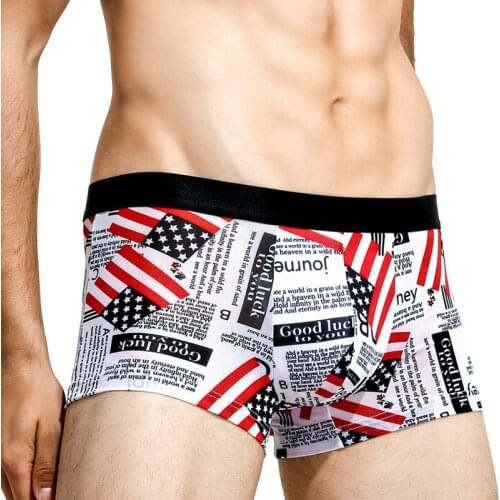 Sexy Underwear Mens Boxers Ice Silk Printed Panties Man Boxershorts Breathable Underpants Male Ropa Interior Hombre Plus Size