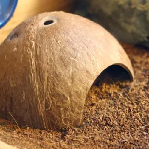 1Pc Reptile Hide Habitat Natural Coconut Shell Lizard Spider Small Animal Cave House
