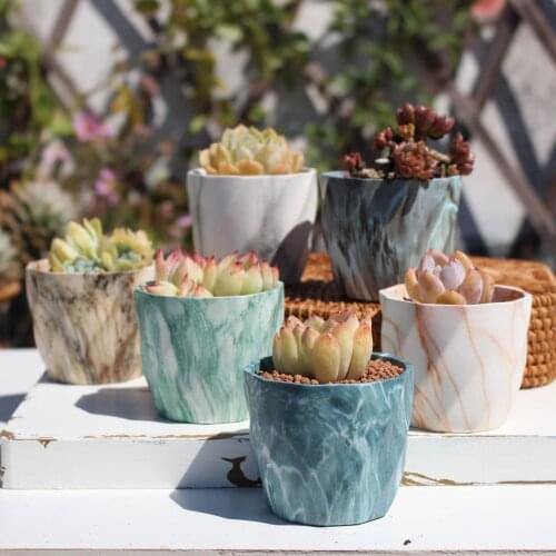 Simple Pattern Ceramic Fleshy Flowerpot Thumb Breathable Basin Nordic Style Small Succulent Flower Pot Home Garden Decoration