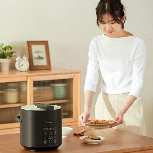One button exhaust electric pressure cooker household frosted hand Mini intelligent pressure cooker rice cooker exquisite capaci