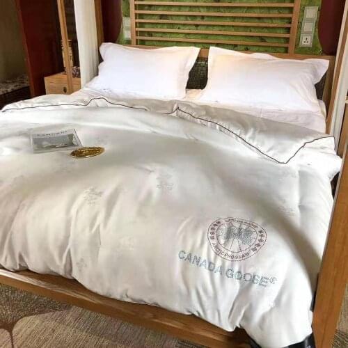 Mulberry Silk Quilts Queen Size Comforter 200*230 King Size Duvet Insert Blanket