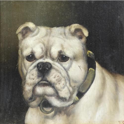Free shipping classical animal pet bulldog oil painting canvas painting prints printed on canvas wall art decoration pictures