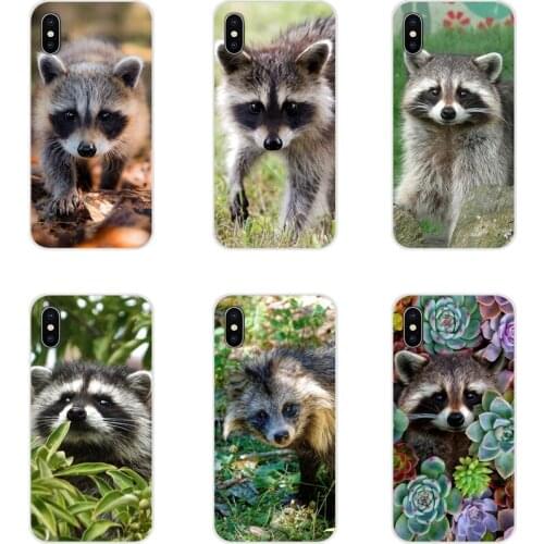 Raccoon Animal For Huawei Honor 4C 5C 6X 7 7A 7C 8 9 10 8C 8S 8X 9X 10I 20 Lite Pro Accessories Phone Cases Covers