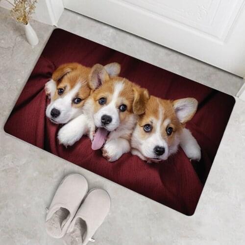 Corgi Pattern Bath Mat Cheaper Bathroom Rug Kitchen Rugs Bathrooms Non Slip Carpet Modern Washable Home Entrance Doormat