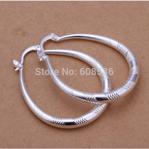 Free Shipping Wholesale fashion jewelry Earrings ,S925 Sterling Silver color Jewelry Earrings . QE294