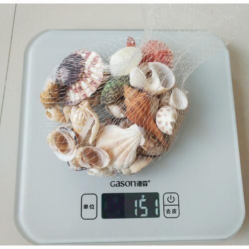 150g Fashion Decoration Beach Fashion Seashells Sea Shells for DIY Caft Decor hot sale natural conch sea star fish