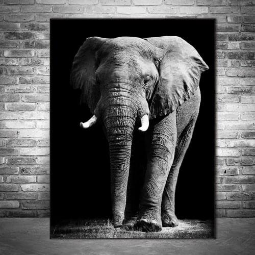 African Elephant Wall Art Canvas Paintings Black And White Animals Wall Posters And Prints Wall Pictures For Living Room Cuadros