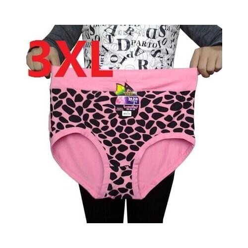 L,3XL plus size women underwear 100%bamboo fiber women briefs women panties panty print knickers 5pieces/lot excellent quality
