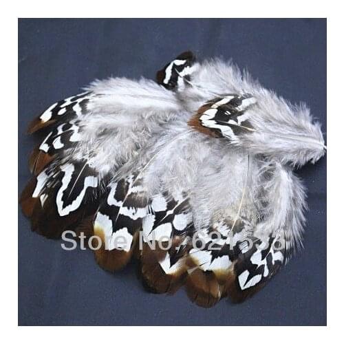 100Pcs/Lot 5-8CM White& Brown Reeves Venery Pheasant Plumage feathers,Brown Reeves Pheasant Pluamge feathers