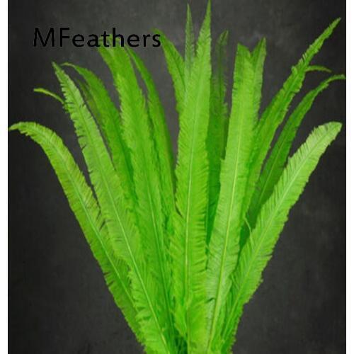 Wholesale 50PCS 50-55CM 20-22 Inch Nandu ostrich feathers for crafts DIY Natural Real Ostrich Wedding Carnival Decoration Plumes