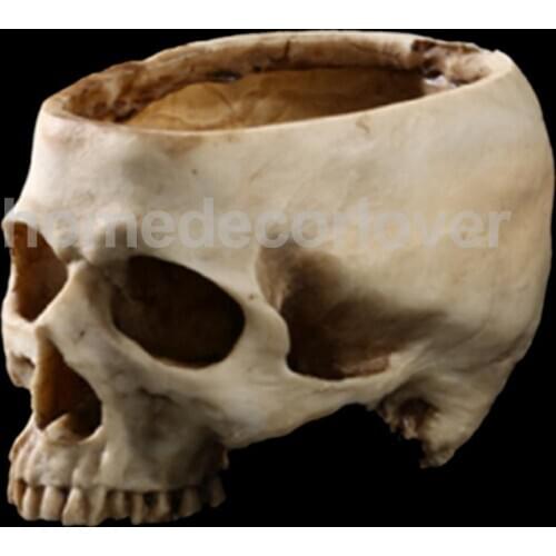 Human Skull Head Design Flower Pot Planter Container Replica Home Bar Decor