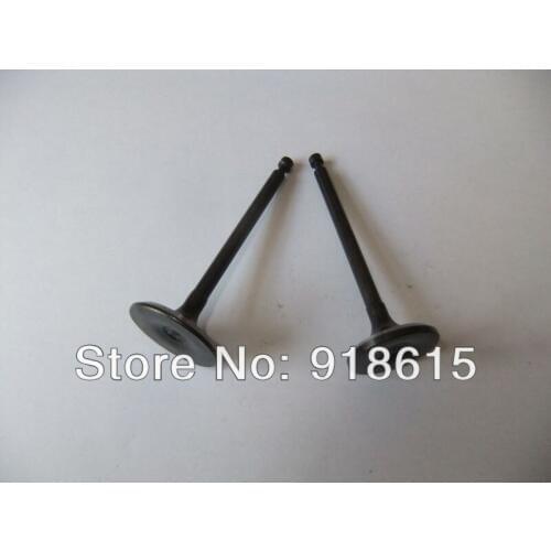 KIPOR IG2000 intake valve and exhuast valve digital portable generator parts