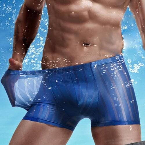 Transparent Boxershorts Male Mid-rise Mesh Slips Homme Panties Boxer Shorts Men Sexy Seamless Underwear Panties Mens Boxers A50