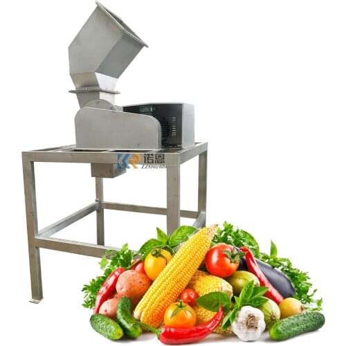 Industrial Juice Squeezing Machine Melon Dragon Crusher Apple Ginger Press Extractor Concentrate Juice Equipment for Restaurant