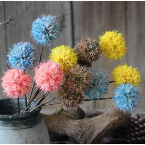 Allium Giganteum Dried Flower With Iron Stems For Wedding Party Holiday Home Office Hotel Venue Decoration Bouquet Making