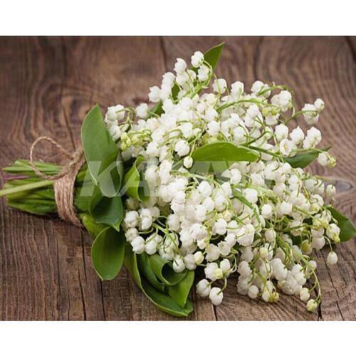 DIY Diamond Painting Embroidery Lily of the valley Flowers Decorative Vase Pictures of Rhinestones Hobbies Crafts Wedding ll430