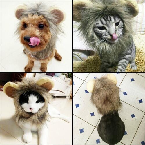 Pet Cat Costume Lion Mane Wig Hat for Dog Cat Halloween Special Lion Small Ears Cat Wig Hat Totoro Turns Into Cat Tidy Clothes