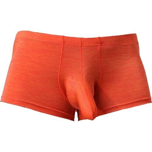 Dennyliter Men's Home Briefs