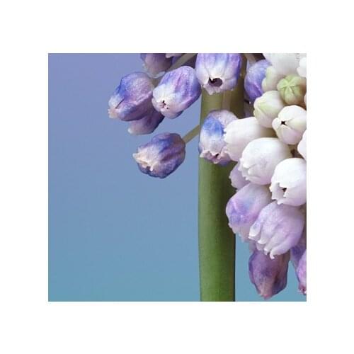 This product only be used for make up the price difference 0.10USD/piece ( example: need 1.8USD , then order 18 pieces )