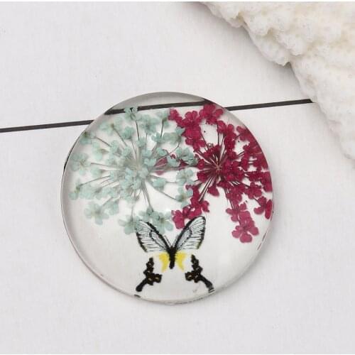 DoreenBeads Glass & Dried Flower Dome Seals Cabochon Round Flatback Multicolor Butterfly Pattern Transparent 30mm Dia, 3 PCs