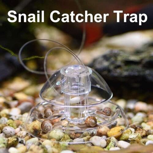 Plastic Catch Box Clear Snail Trap Plants Planarian Pest Leech Catcher with Air Hole Aquarium Fish Tank Clean Tools