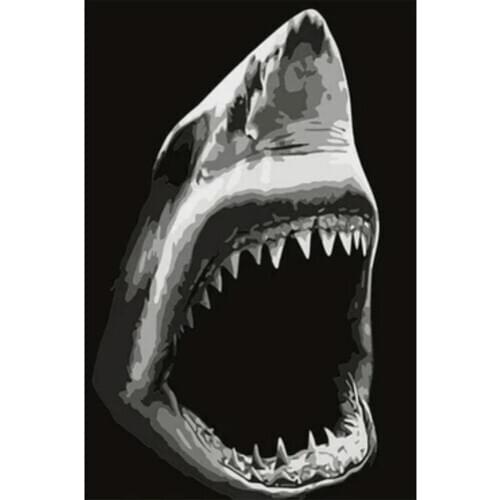 Animal Shark DIY Oil Painting By Numbers Kits Drawing Canvas HandPainted Wall Art Pictures Coloring By Numbers Modern Home Decor