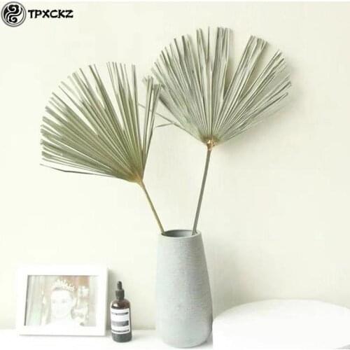 Palm Fan Leaf Dried Flower Palm Leaf Window Wedding Arch Arrangement Party Art