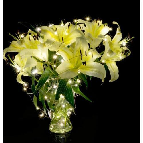 10M 33ft 100 led 3AA battery powered outdoor led copper wire string lights for christmas festival wedding party decoration