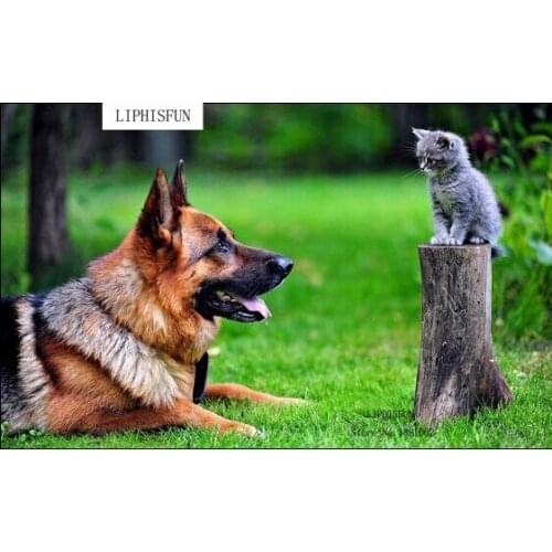 German Shepherd And Kitten Diy Diamond Painting Rhinestone Pasted Full Rhinestone 5d Diamond Painting Cross Stitch