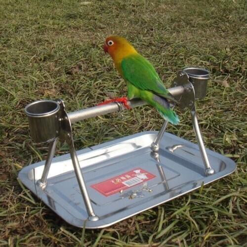 Durable Stainless Steel Pet Birds Stand with Feeding Tray Table Top for Birds
