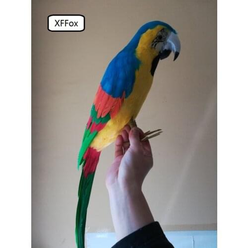 New real life green&yellow parrot model foam&feather big simulation parrot bird gift about 65cm xf0220